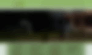 Adultosmayoresdelbosque.com.mx thumbnail