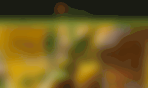 Almagral.com thumbnail