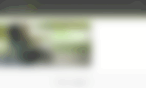 Babyjogger.atrevidos.es thumbnail