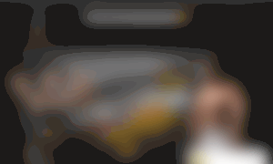 Chocho.mx thumbnail