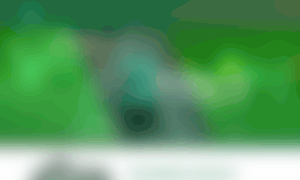 Corridacarabineros.cl thumbnail