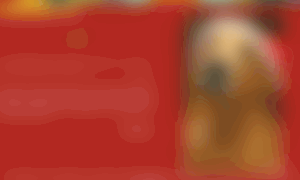 Escuelaparaperrosetac.com thumbnail