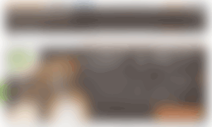Lostmydoggie.com thumbnail