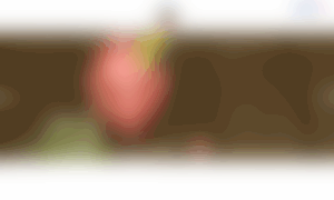 Papagayofreshbar.com thumbnail