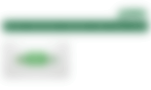Quintanaroo.padefp.org thumbnail