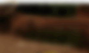 Tiendaderape.com thumbnail