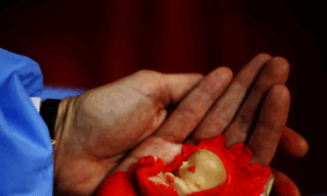 Abortolegalyseguro.com thumbnail