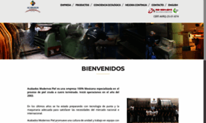Acabados-modernos.com thumbnail