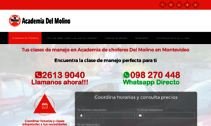 Academiadelmolino.com.uy thumbnail