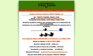 Academiamexicanajaponesa.com.mx thumbnail