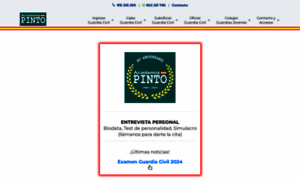 Academiapinto.es thumbnail