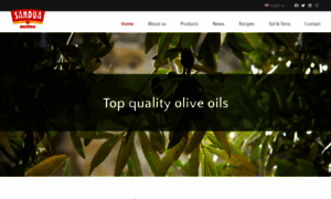 Aceitesandua.com thumbnail