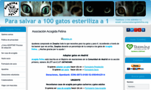 Acogidafelina.org thumbnail