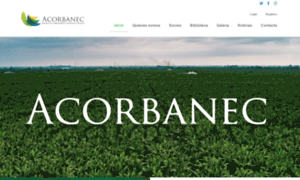Acorbanec.com thumbnail