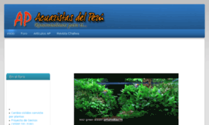Acuaristasperu.net thumbnail