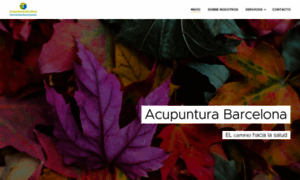 Acupunturabarcelona.webnode.es thumbnail