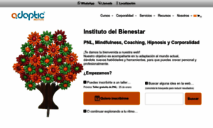 Adaptic.es thumbnail