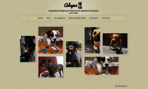 Adepaccanarias.com thumbnail