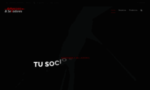 Adhesivosyselladores.com.ec thumbnail