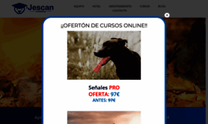 Adiestramiento-de-perros.com thumbnail