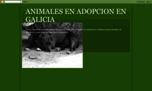 Adopcionesengalicia.blogspot.com thumbnail