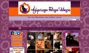 Adopcionesfelinas.foroactivo.com thumbnail
