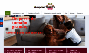 Adopciontenerife.com thumbnail