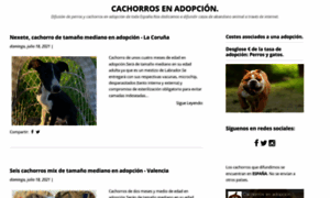 Adoptauncachorro.com thumbnail