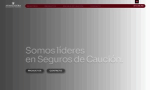 Afianzadora.com.ar thumbnail