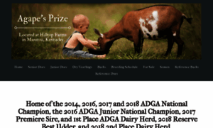 Agapesprize.com thumbnail