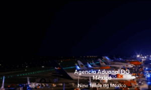 Agenciaaduanaldg.com.mx thumbnail