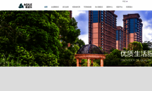 Agile.com.cn thumbnail