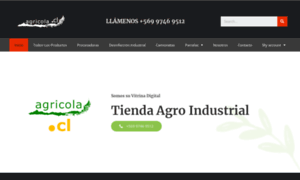 Agricola.cl thumbnail
