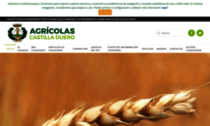 Agricolascastilladuero.es thumbnail