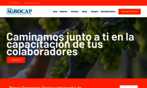 Agrocap.cl thumbnail