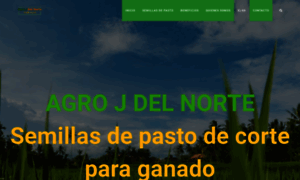 Agrojdelnorte.com thumbnail