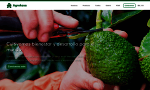 Agrokasa.com thumbnail