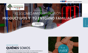 Agroservicioscapurro.cl thumbnail