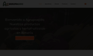 Agrupaejido.com thumbnail