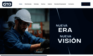 Aimo.org.mx thumbnail