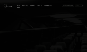 Ainhoabus.com thumbnail