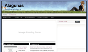 Alagunasws.com thumbnail