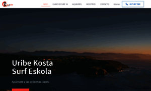 Aldersurfeskola.com thumbnail