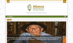 Alianzamesoamericana.org thumbnail