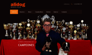 Alidog.com thumbnail