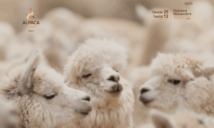 Alpacafiestaperu.com thumbnail