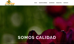 Amancayflores.com.ar thumbnail