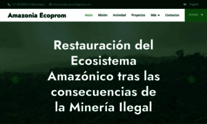 Amazonia.org.pe thumbnail