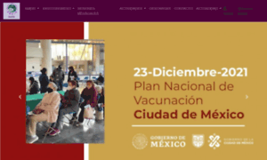 Amein.org.mx thumbnail