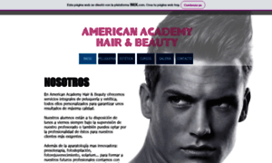 Americanacademyhb.com thumbnail